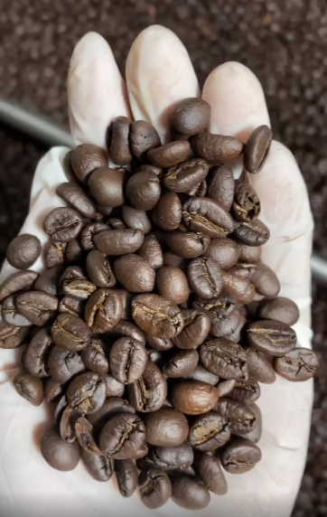 [Gói 500g] Cà phê rang xay nguyên chất, cà phê Robusta vị đậm đà mạnh mẽ, cà phê hạt, cà phê pha máy, cà phê pha phin