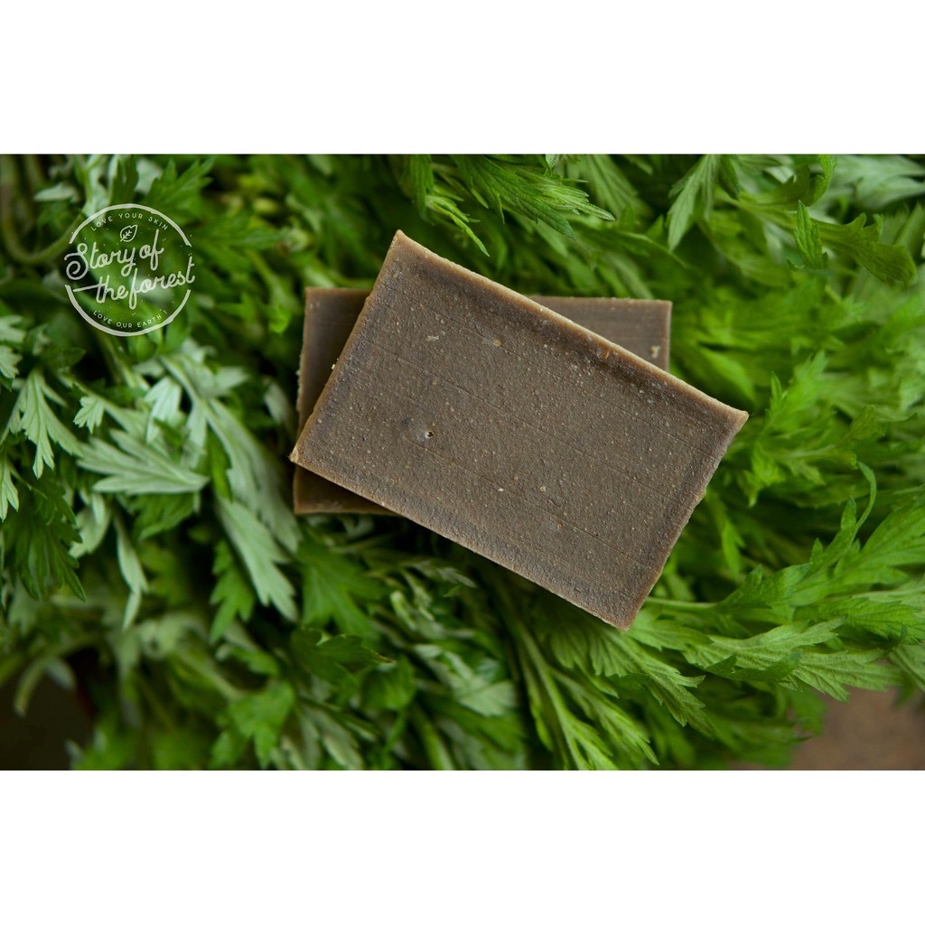 XÀ BÔNG NGẢI CỨU -  BƠ CACAO [STORY OF THE FOREST]