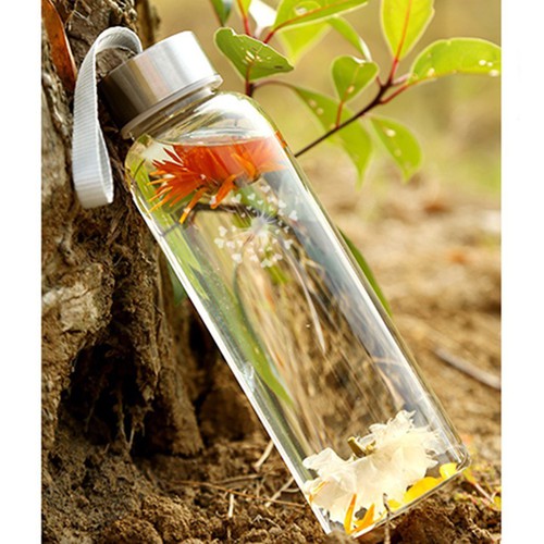 Combo 10 Chai Thuỷ Tinh 500ml Nắp Dây Xách
