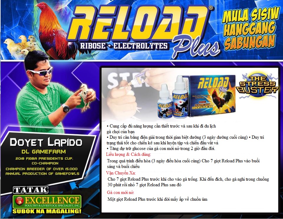 Reload PLUS chống rớt bo cho gà đi đá 15ml