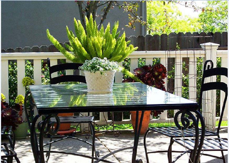 Hạt giống cây Tùng Đuôi Chồn (Trúc Thiên Môn) Gói 5 Hạt  - VTNT