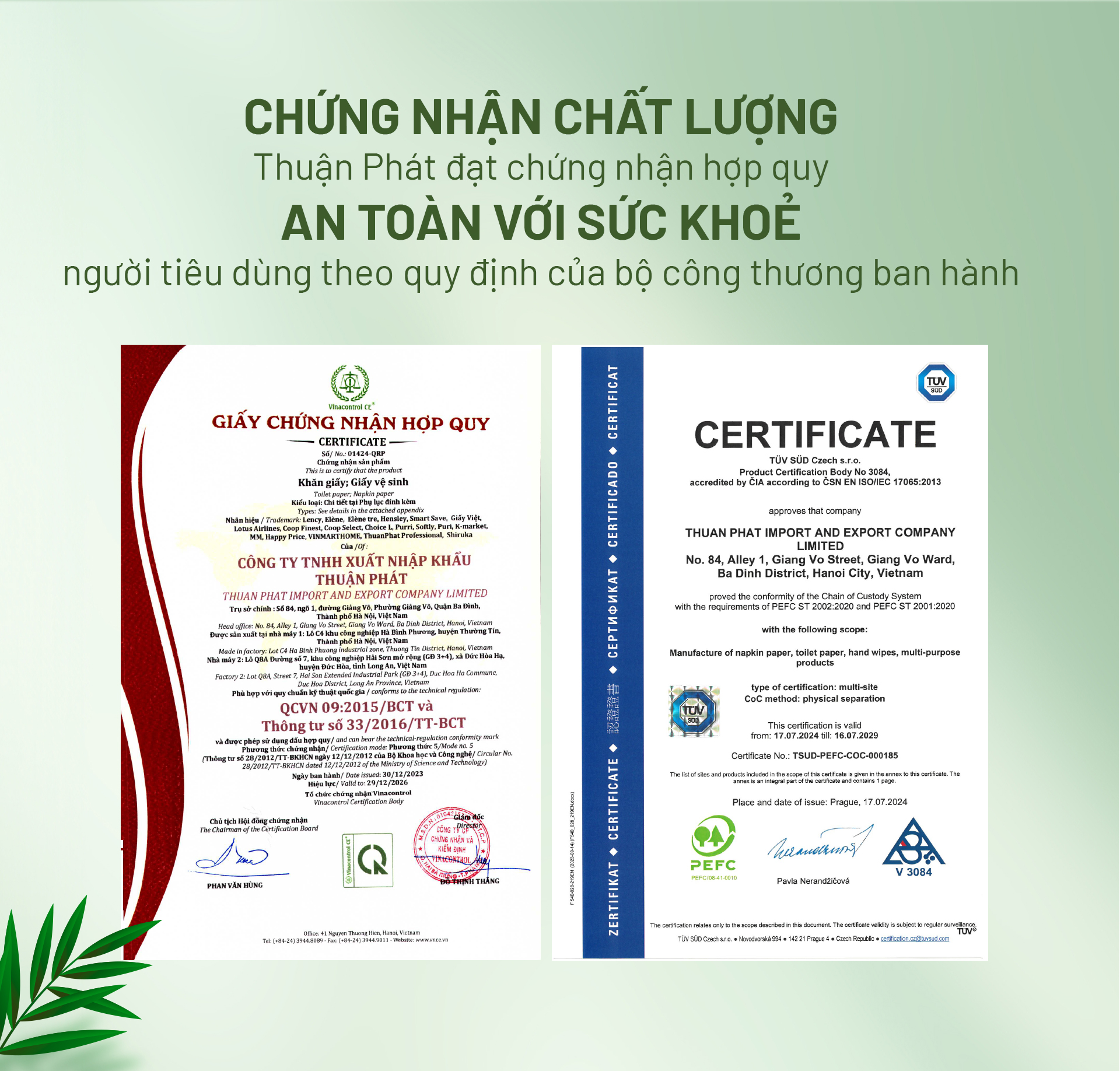 Thùng 30 Gói Giấy Ăn Gấu Trúc Than Tre Elene Bamboo 100 Tờ - 3 Lớp🎋Giấy Bột Tre🎋Giấy Rút Đa Năng🎋