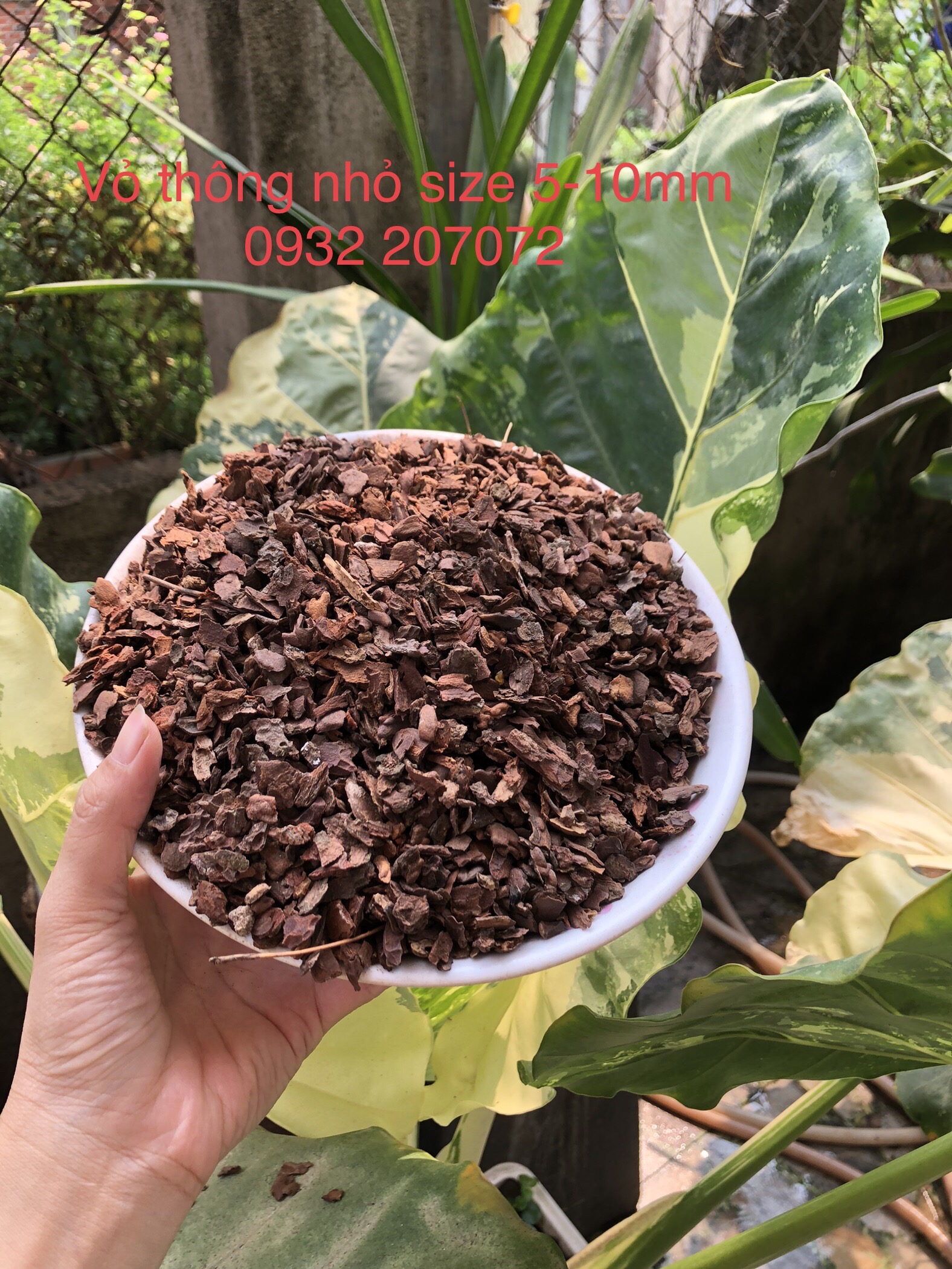 1 Kg Vỏ thông sạch trồng lan