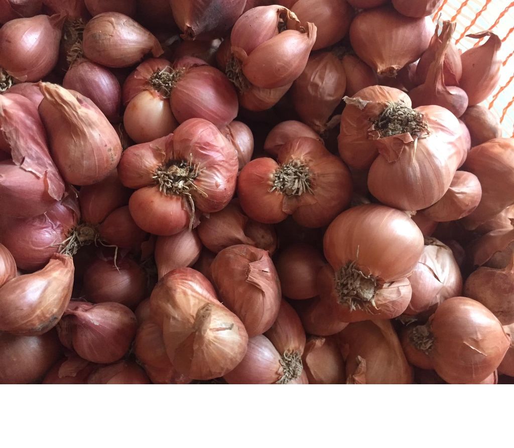Hành Kinh Môn Hải Dương - 1Kg
