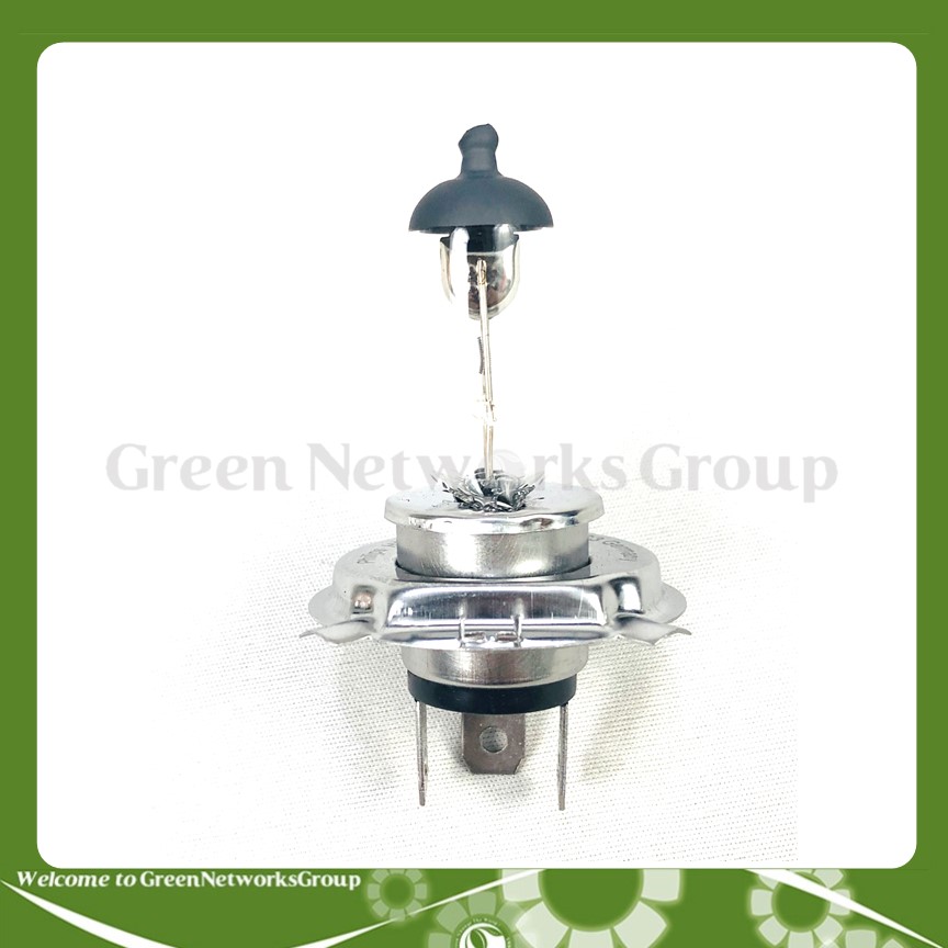 [HCM]Bóng đèn Halogen Philips chân H4 PREMIUM Greennetworks