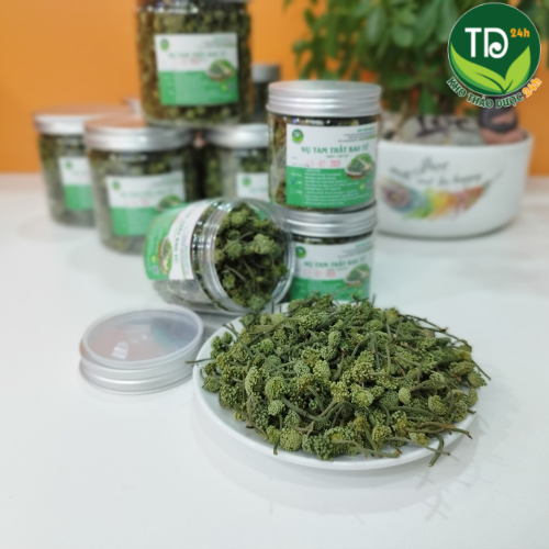 [Loại Thượng Hạng] Nụ tam thất bao tử SaPa, ngủ ngon, thanh nhiệt, giải độc, an thần, ổn định huyết áp | Kho thảo dược 24h