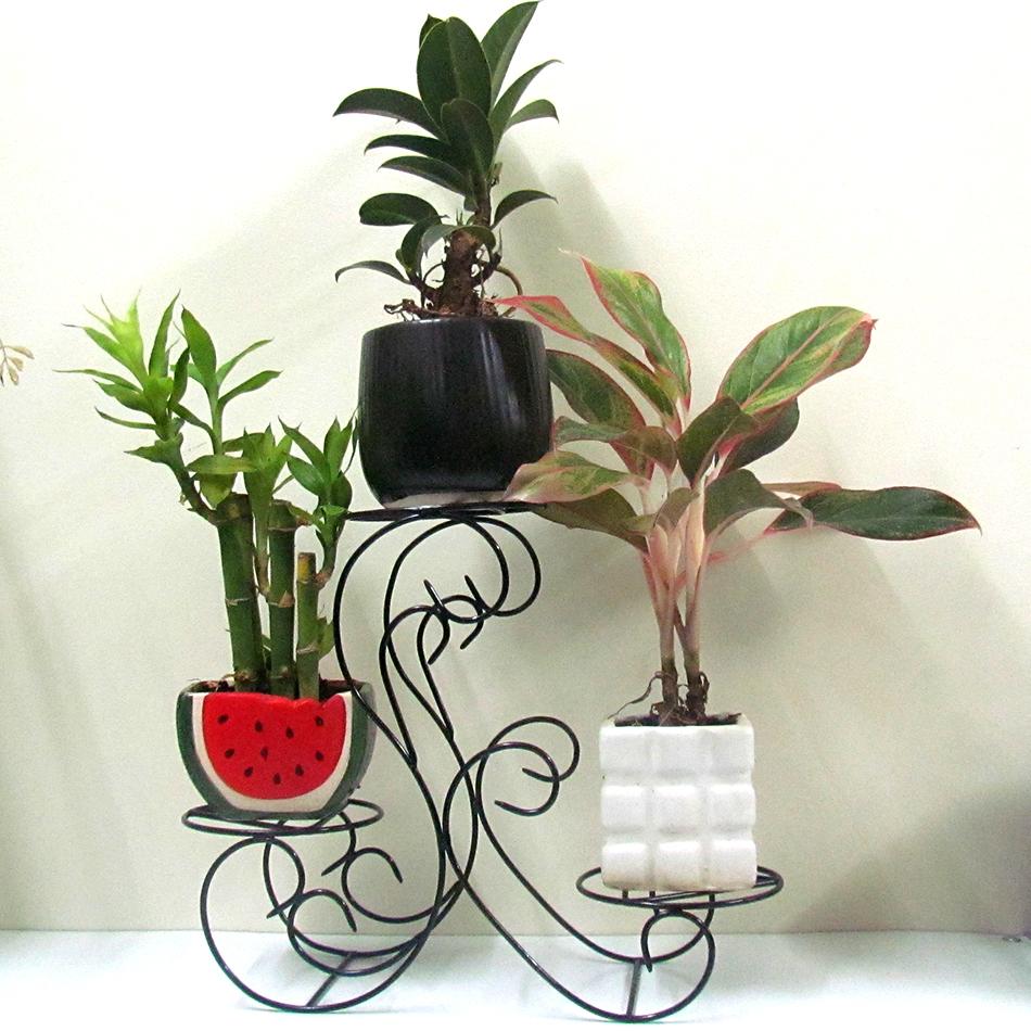 Kệ  giá đỡ chậu hoa mini