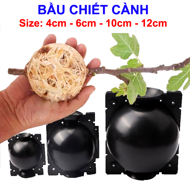 10 Bầu chiết cành 12cm tăng khả năng ra rễ, chống úng cành chiết, tái sử dụng nhiều lần