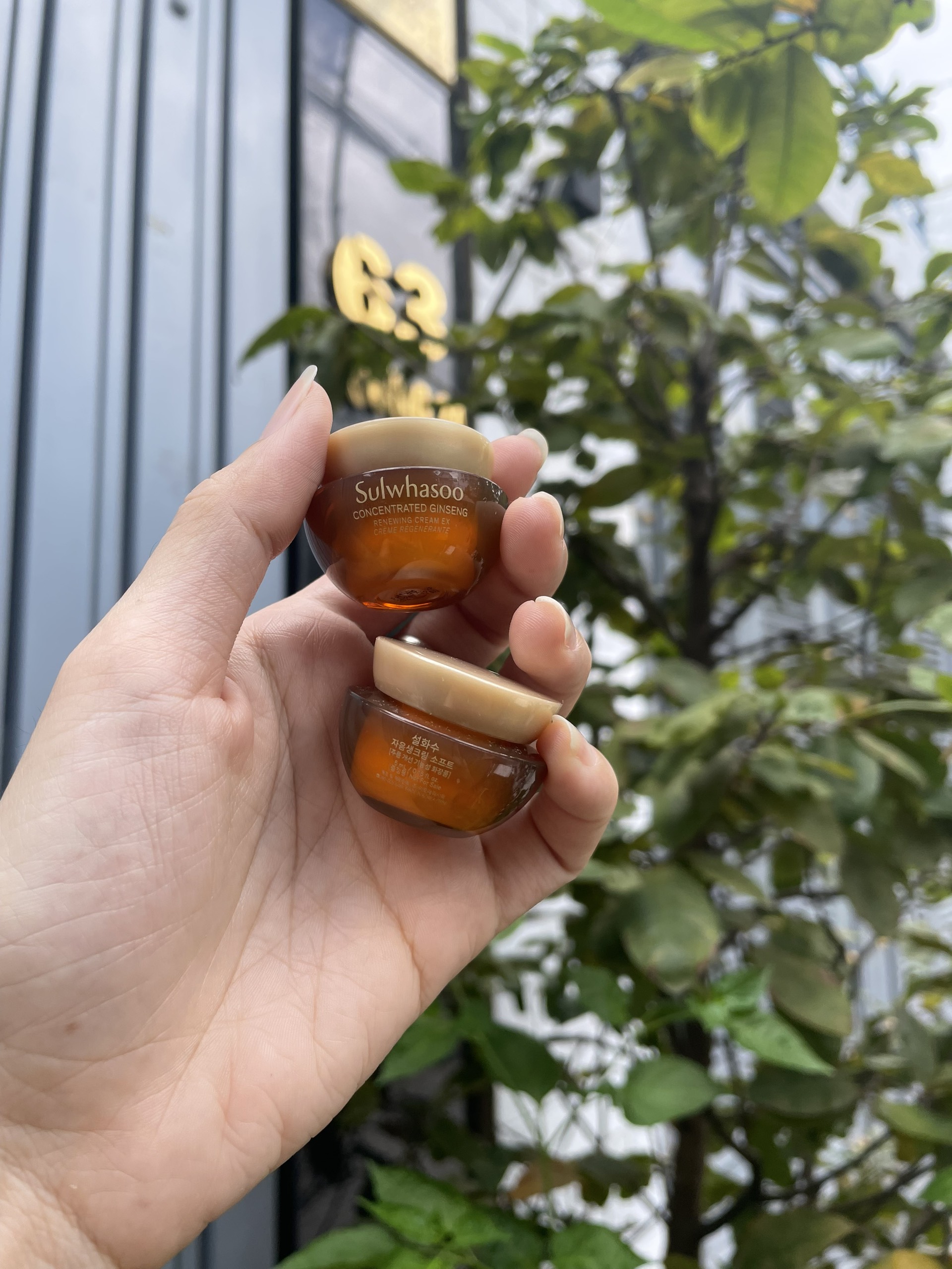 Kem nhân sâm Sulwhasoo mini