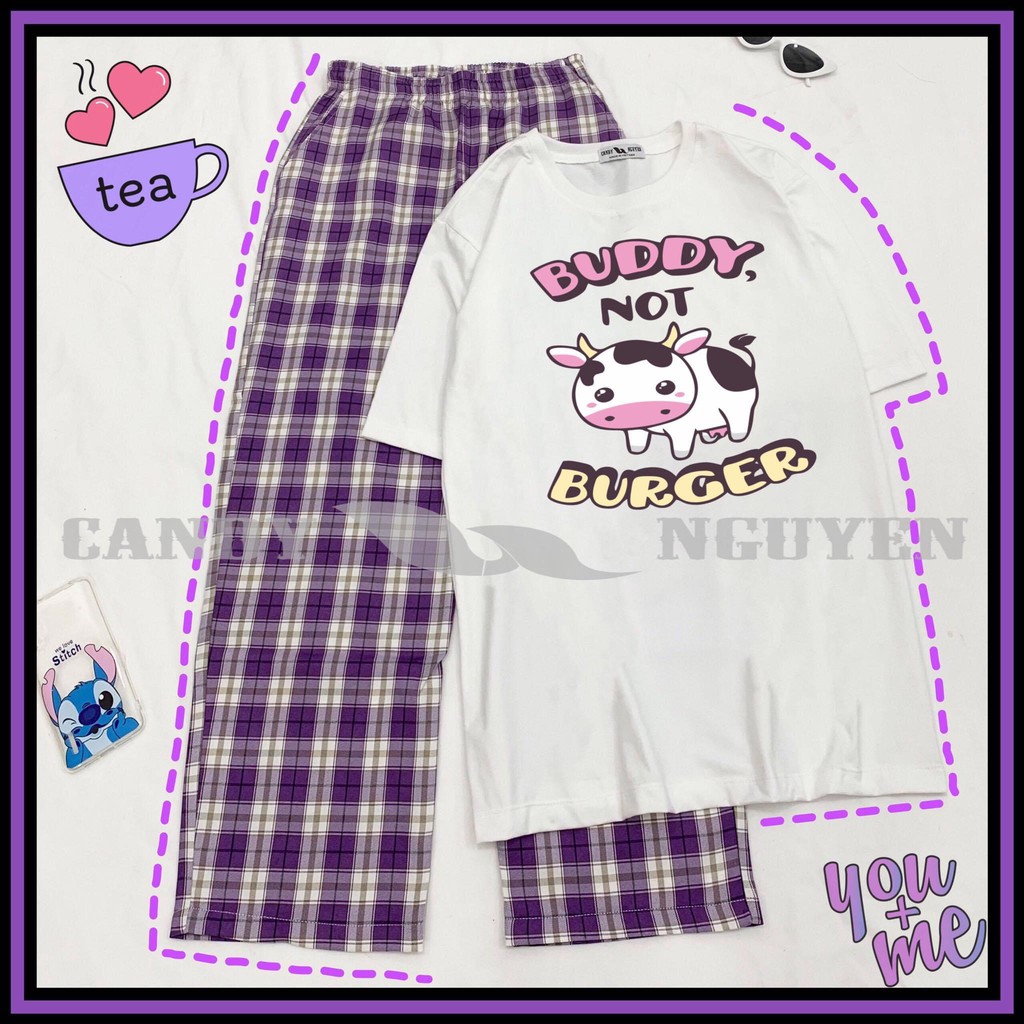 Sét áo phông Bò sữa Buddy + quần kẻ tím HARI