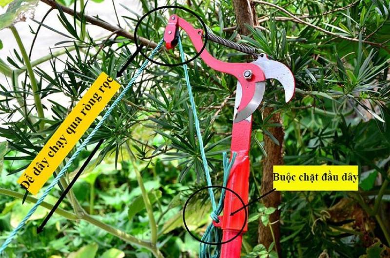 Đầu kéo cắt cành cây trên cao,tỉa cây cảnh,hái hoa quả