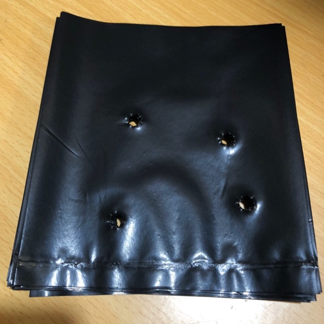 TÚI BẦU ƯƠM CÂY GIỐNG (13x15cm) 1kg