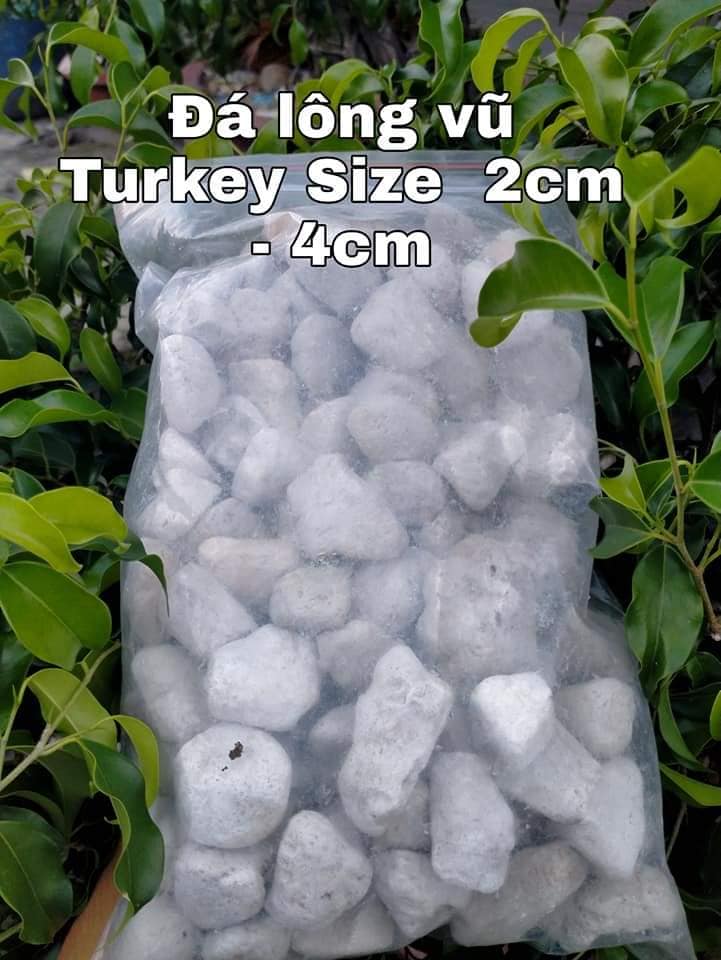 Đá lông vũ turkey 2-4cm - đá nham thạch trắng vật liệu lọc hồ cá