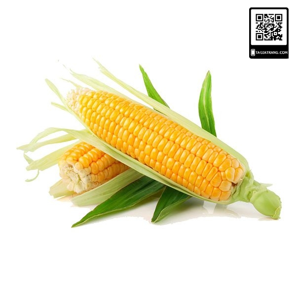 Hạt giống ngô ngọt - Gói 5gr