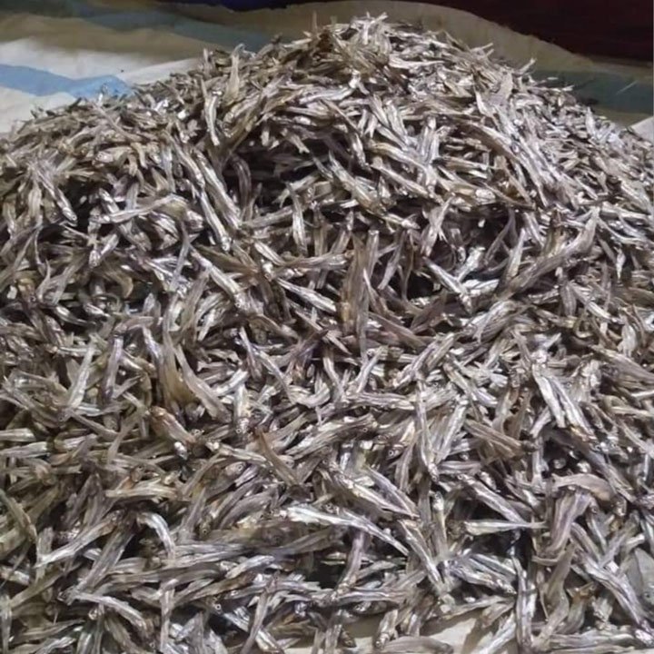 Cá cơm khô { 1KG} Khô cá cơm Loại 1 siêu ngon
