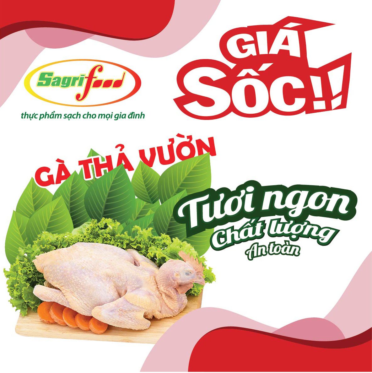 Gà thả vườn Sagrifood (size 1.2-1.4kg) - [Giao Ngay Tại HCM]