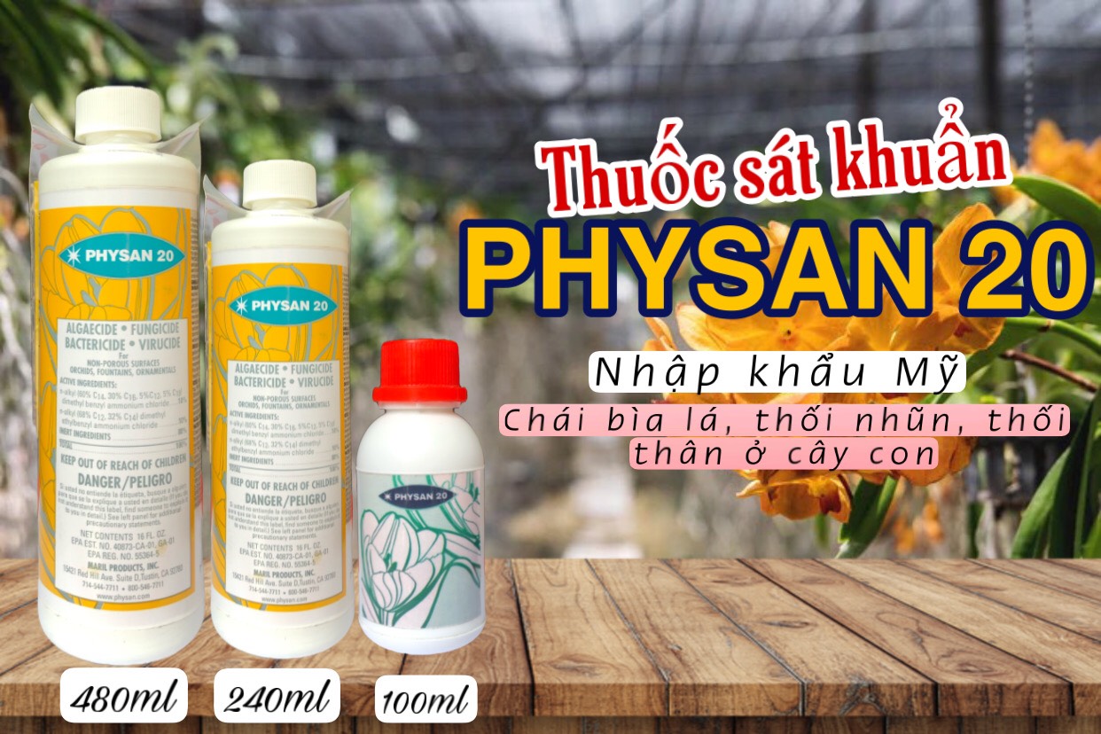 Dung dịch sát khuẩn Physan 20 Mỹ