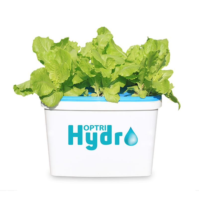 Bộ 1 chậu trồng rau ăn lá thủy canh tĩnh Growbox Leafy Kit 1 Hợp Trí Không bao gồm phân bón thủy canh