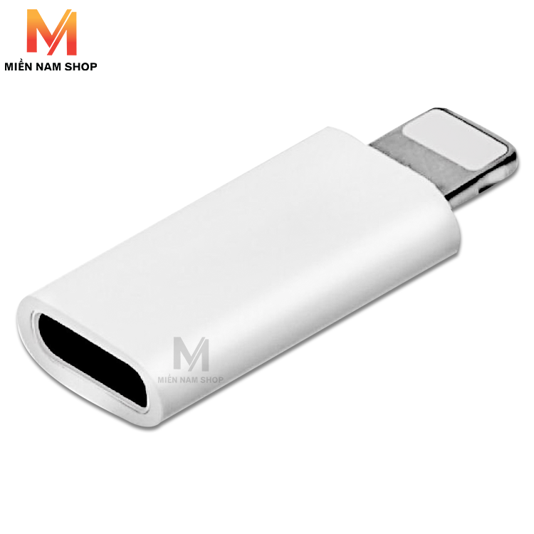 Type C to iPhone (lightning) adapter