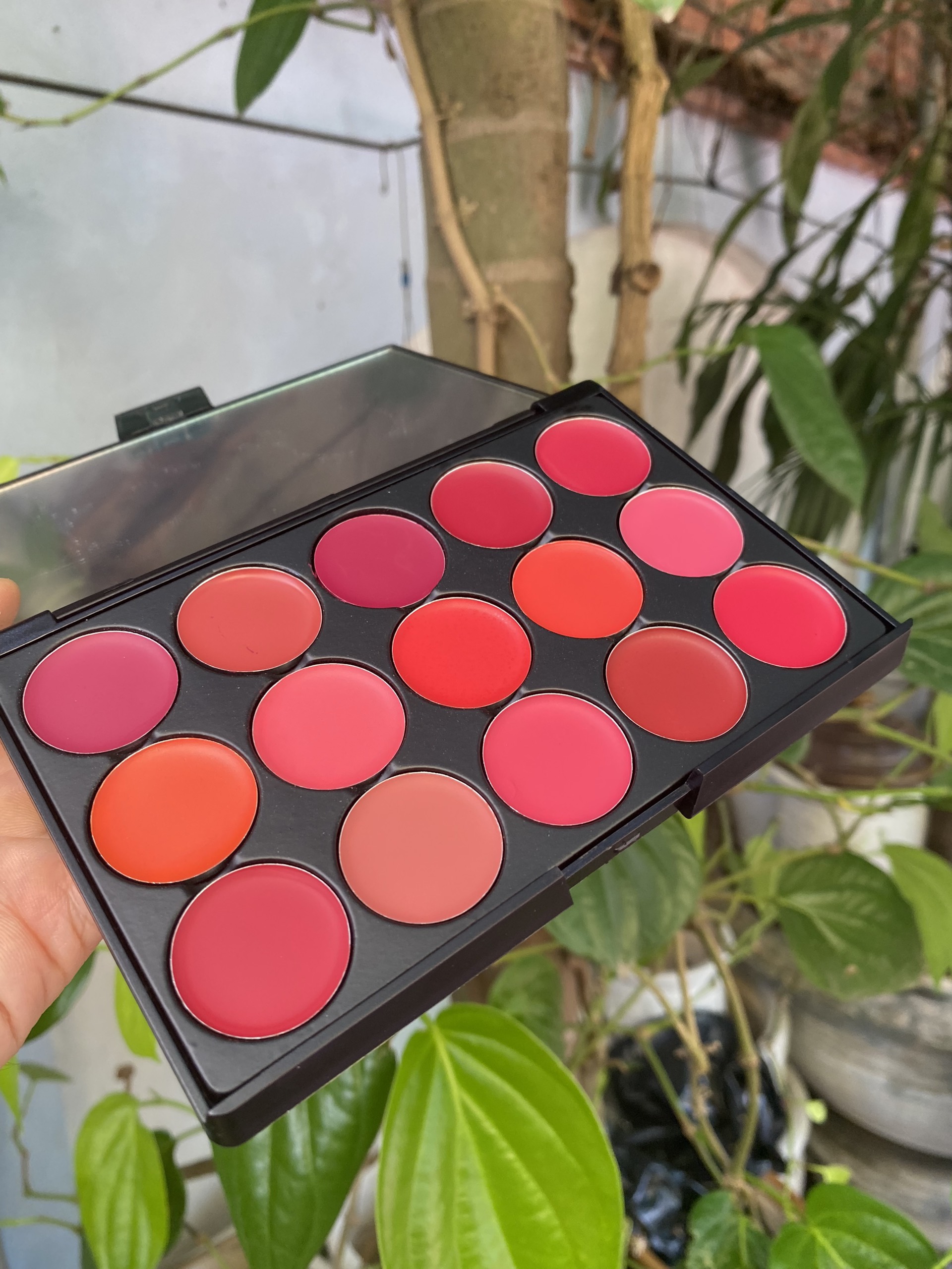 Bảng Son Lì Trang Điểm Miss Rose 15 ( nội địa Trung )