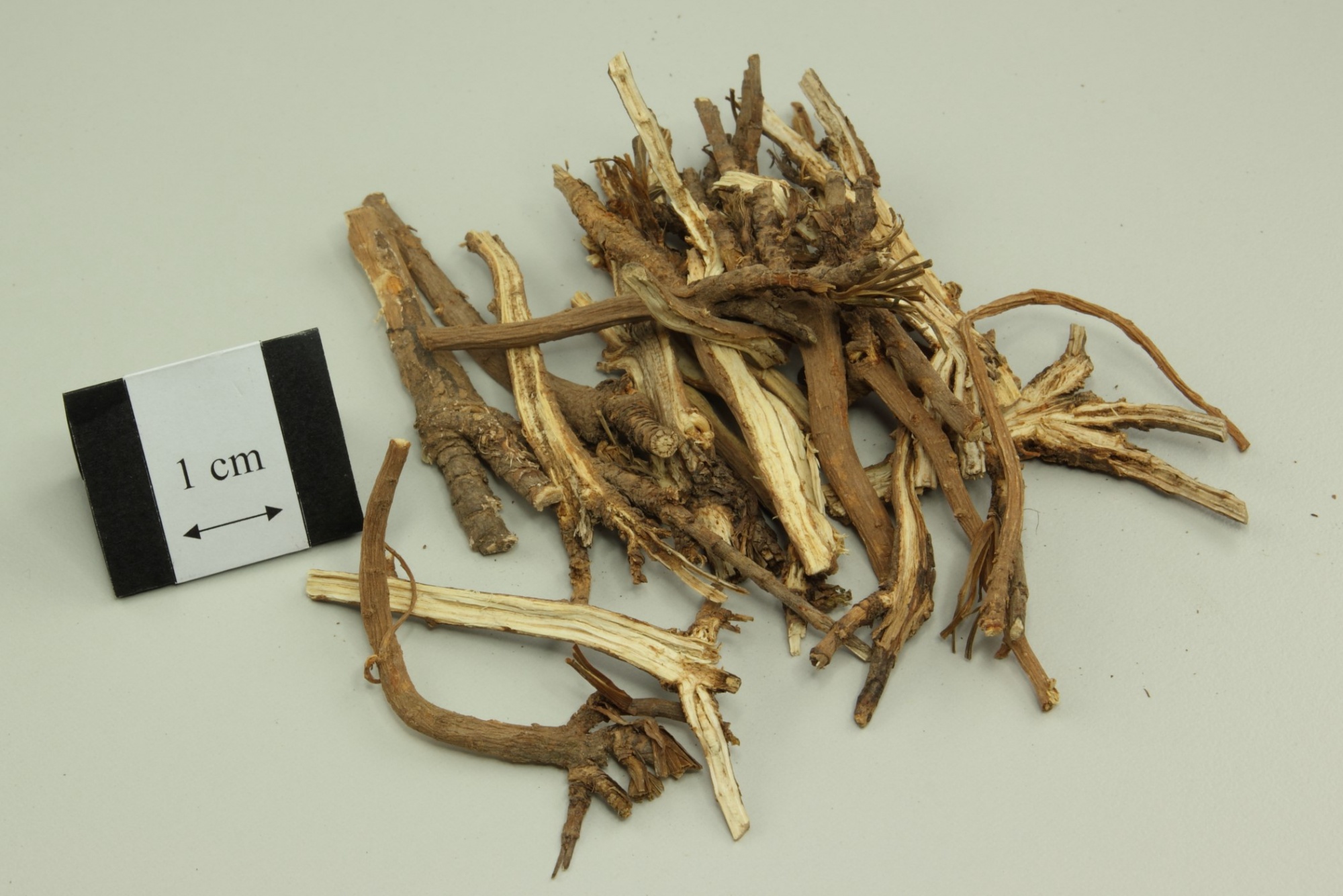 Sài Hồ Bắc 100 g - Chai Hu