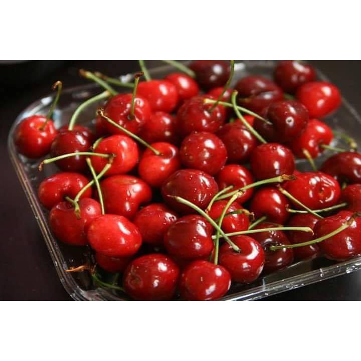 10 Hạt Giống Quả Cherry Đỏ Sai Quả
