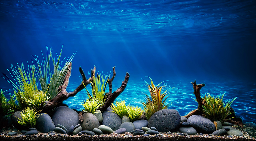 Tranh 3d hồ cá đẹp, có keo sẵn mặt tranh ,kèm đồ dán tranh, KÍCH THƯỚC tranh đa dạng theo yêu cầu bể (40-50-60....120,130,160cm)