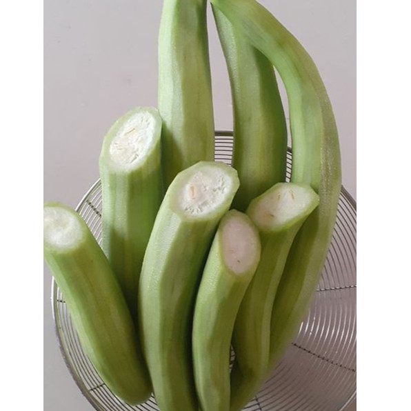 LẶC LÈ THÁI CAO SẢN - 2G