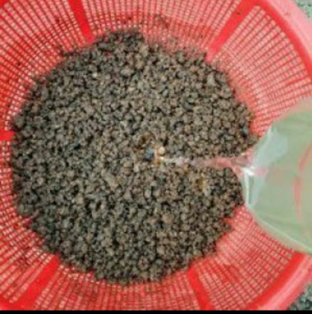 500g XỈ THAN đã xử lý (dùng để trộn đất trồng cây)