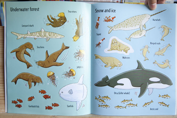 Usborne Sticker Book - Under the sea