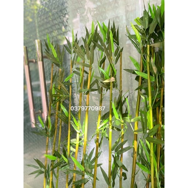 Sét 10 cây trúc giả độ cao 120cm đến 200cm
