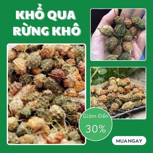 Khổ qua rừng 500g cao cấp - Hàng công ty chất lượng cao - Chuyên dùng để pha trà và sắc nước uống