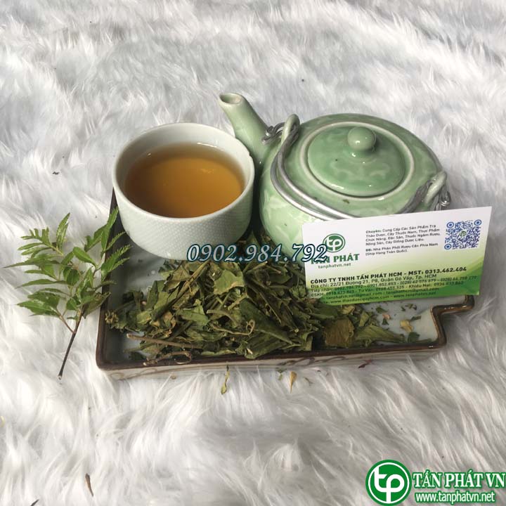 [Hàng công ty chất lượng cao] Dây thìa canh khô 500g - tấn phát - Chuyên dùng để pha trà hỗ trợ  cải thiện sức khoẻ người bị tiểu dường