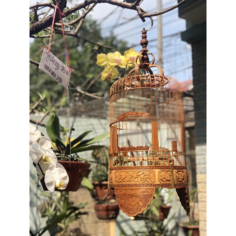 Lồng Chim Khuyên Lồng Chim Đục Bằng Tre Đẹp