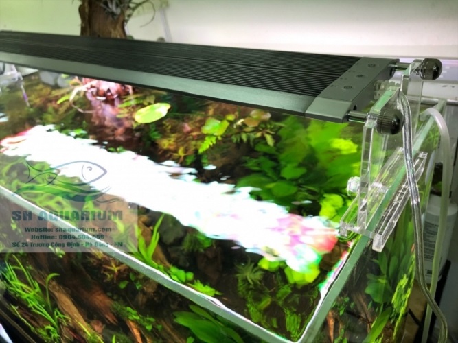 [HOÀN TIỀN 10%]ĐÈN LED WEEK RAPTOR RGB D60CM