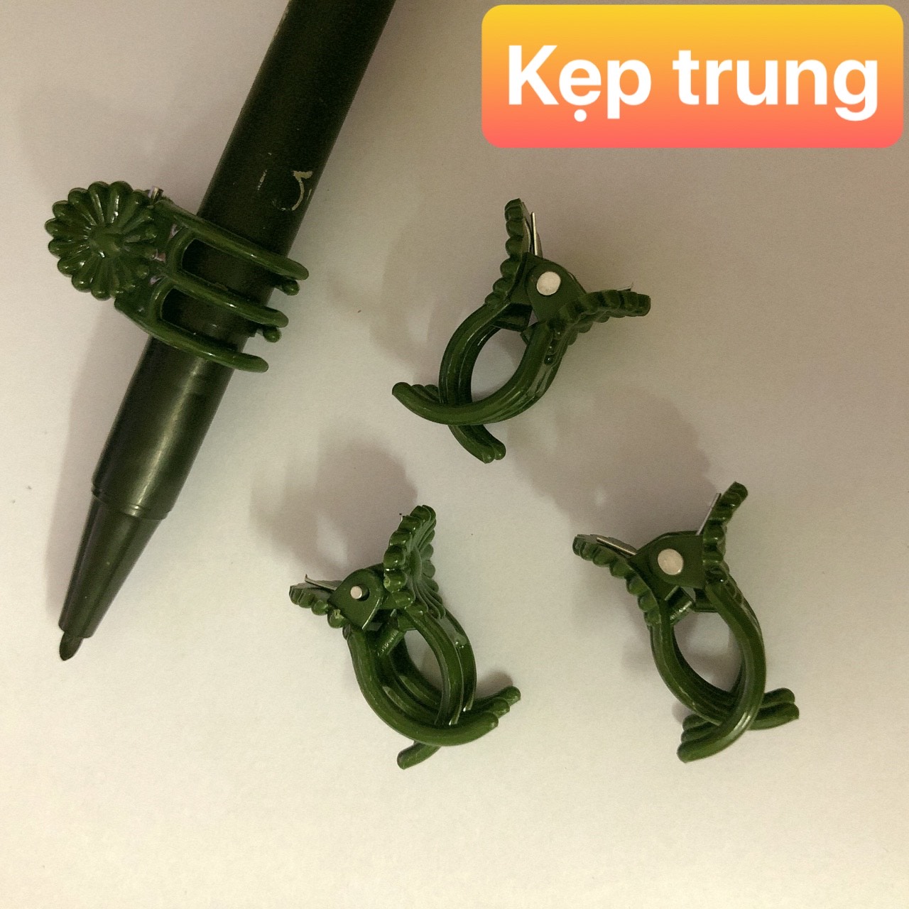 Combo 50 kẹp bướm - trung