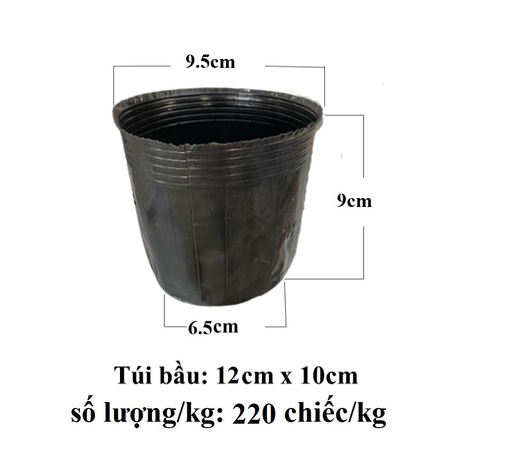 Set 10 bầu ươm cây cỡ nhỏ 12x10cm