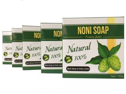 Combo 2 bánh xà bông Noni Green - Noni Soap