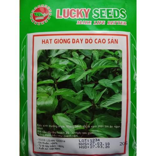 Hạt giống rau đay đỏ cao sản - 20gr