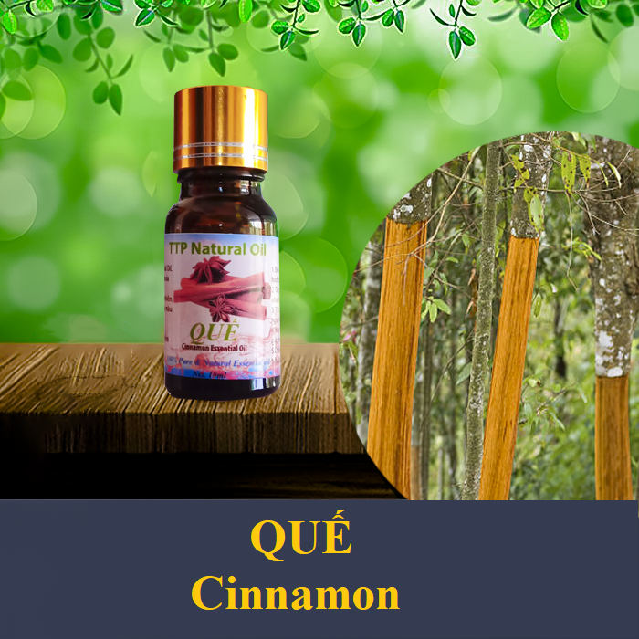 Tinh dầu vỏ quế Cinnamon - 10ml