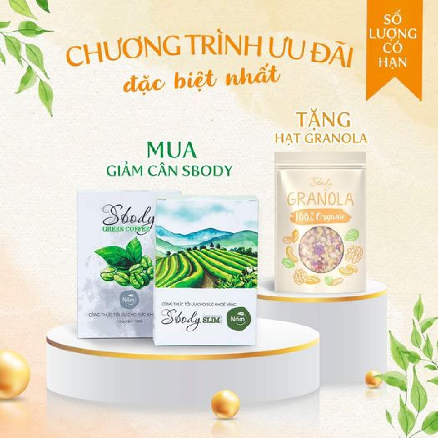 Hạt ăn kiêng Granola Sbody 100Gram