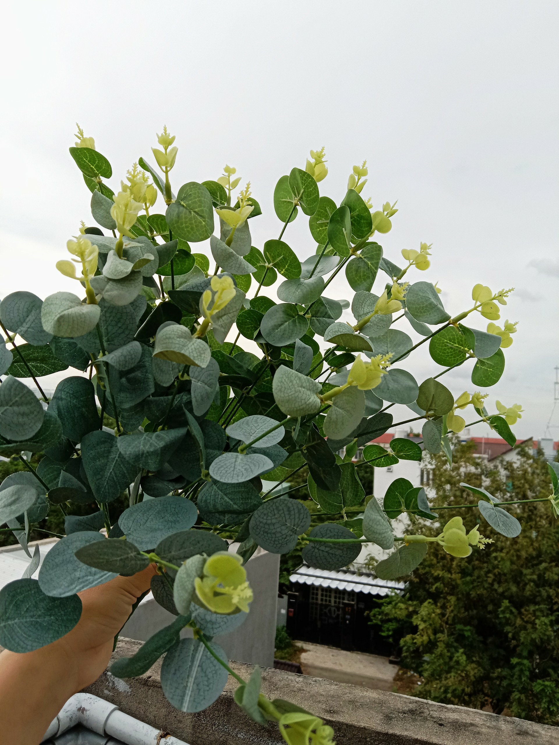 hoa lụa - cụm lá táo 16 nhánh