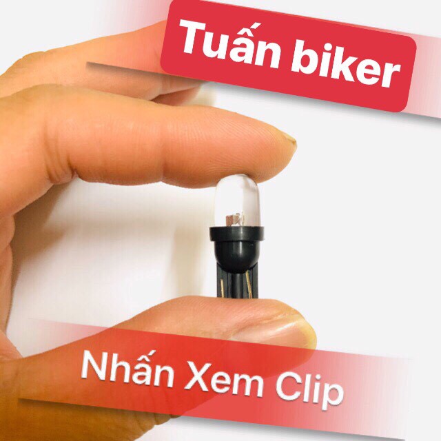 Đèn Led Xi Nhan Demi 7 Màu  Giá 1 đôi
