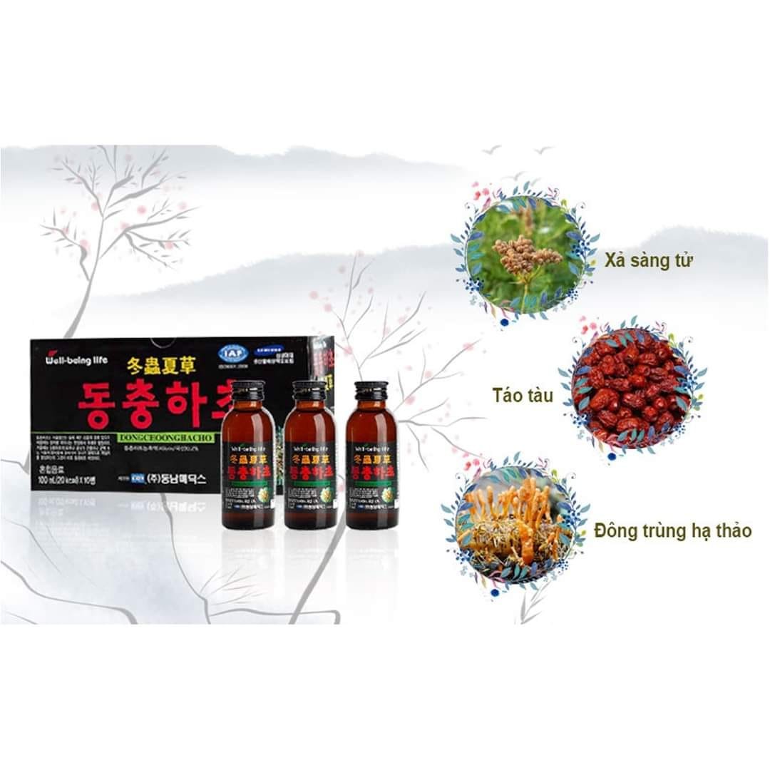 Nước đông trùng hạ thảo (Hộp 10 chai)