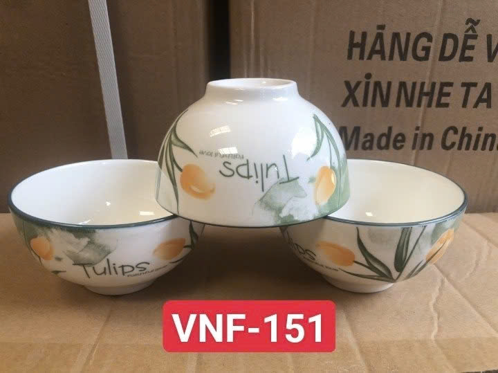 Combo 10 chén sứ , 5 chén cơm hoa văn lông vũ 11cm, chén cơm trắng 11cm, chén chấm trắng 8.5cm