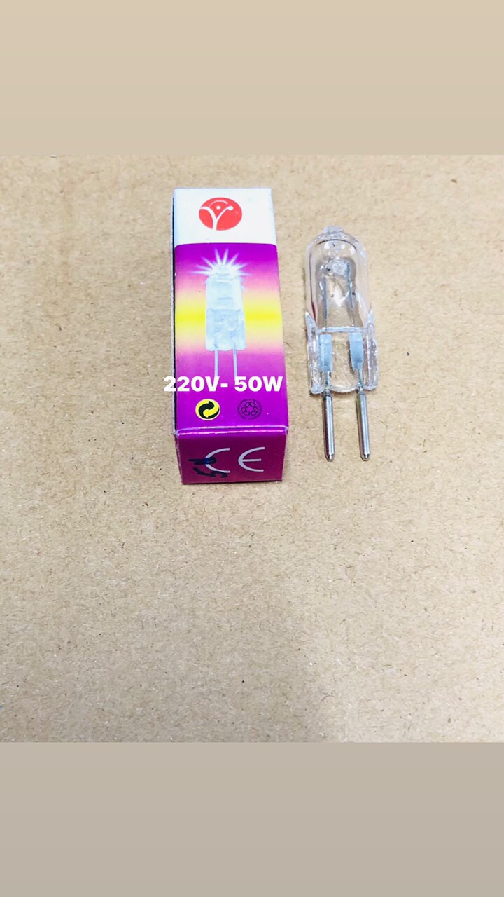 COMBO 10 Bóng Ghim 50W 220V