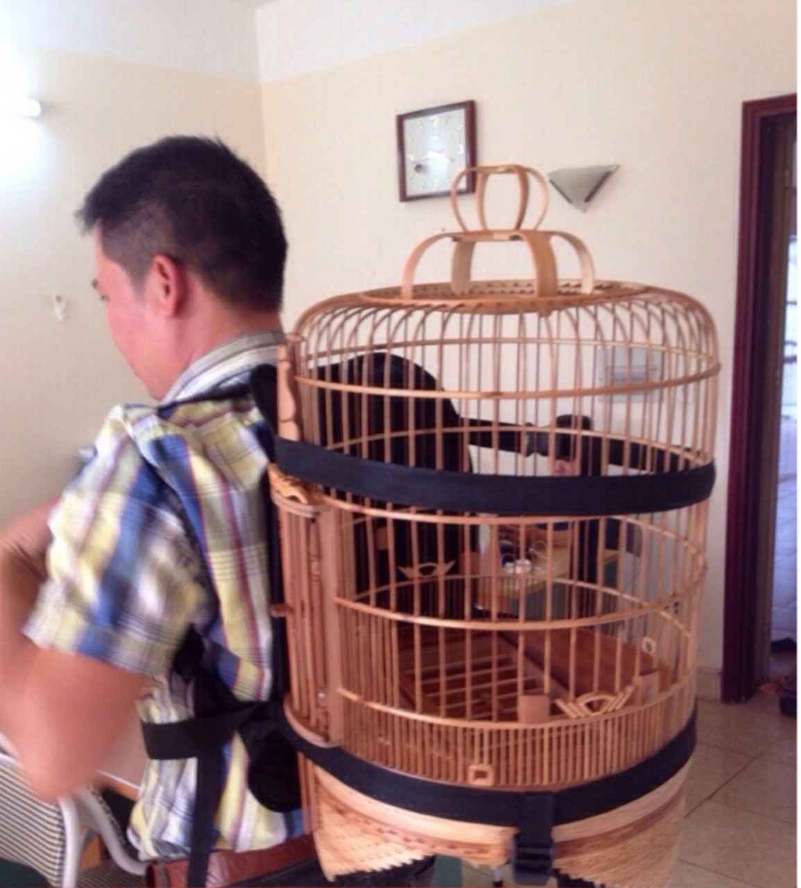 Ba lô lồng đeo lồng chim.