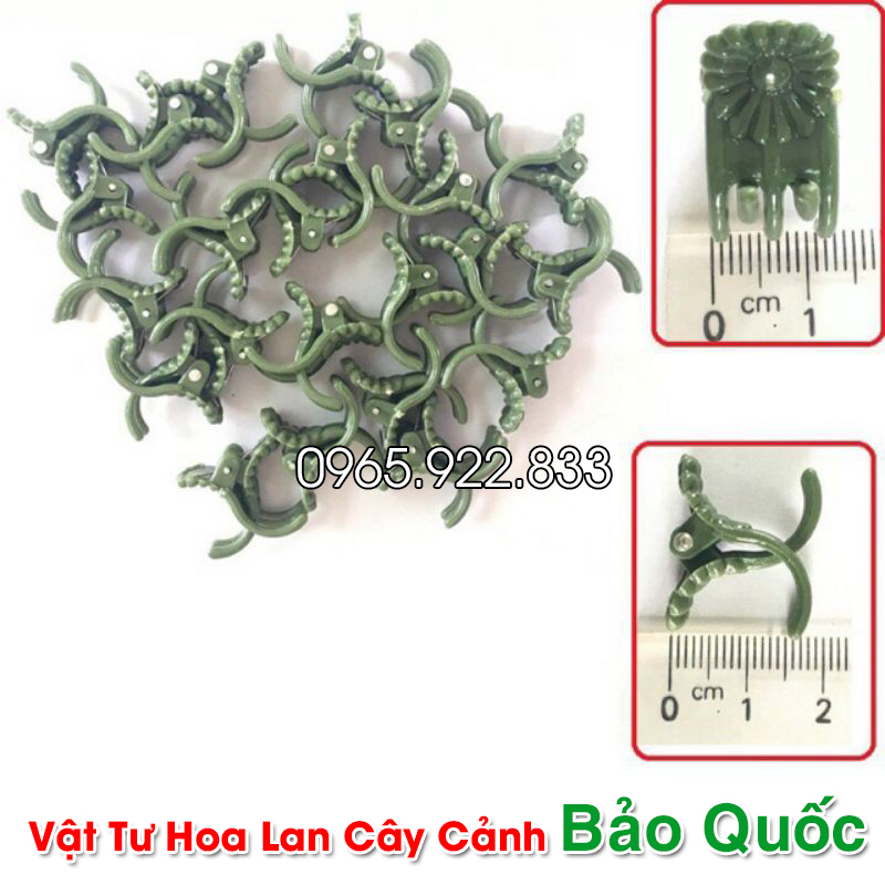 Kẹp Bướm Lan cỡ Trung (5 chiếc) cố định cây lan