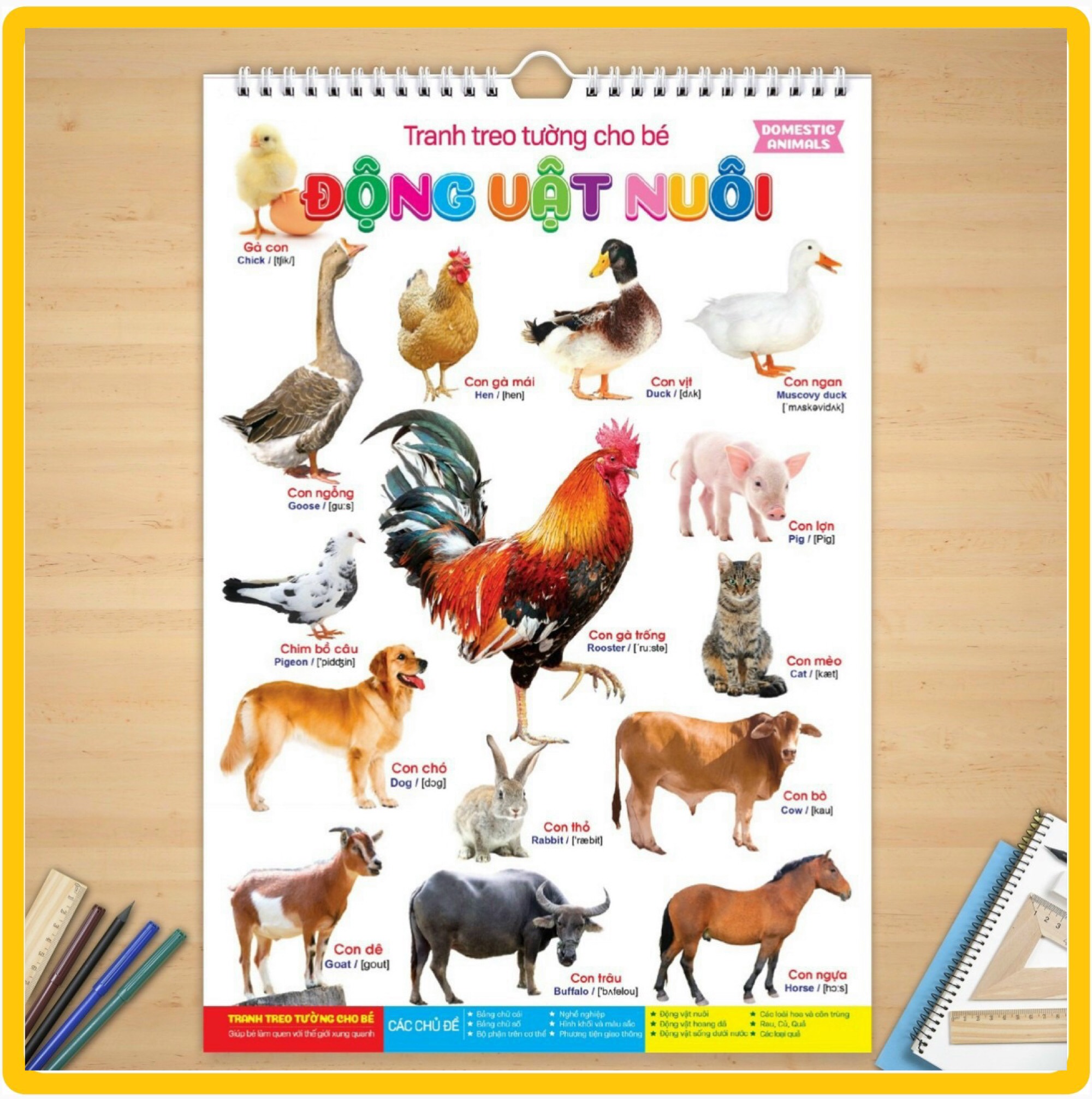 Tranh Treo Tường 14 Chủ Đề Cho Bé