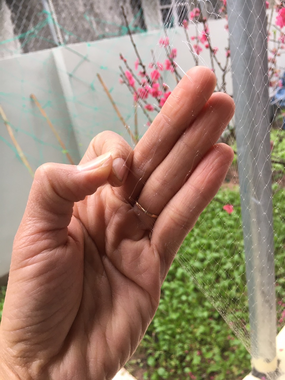 Lưới đánh cá 3 màng 7cm cao 2m dài 100m